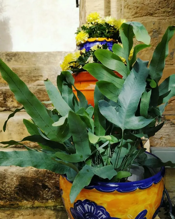 Il Kiostro Villa Zurrieq